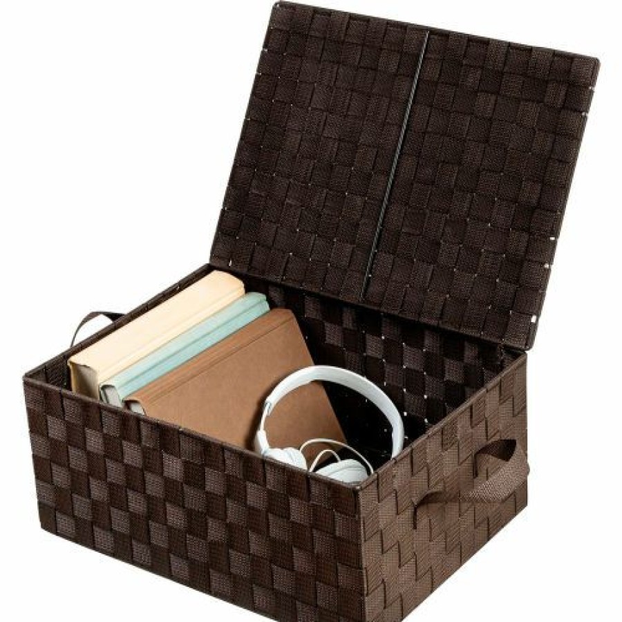 Containers & Organizers * | Honey-Can-Do Hinged Lid Storage Box Brown